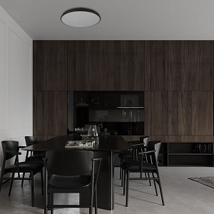 Светильник потолочный Loft it Dime (Испания)