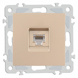 Розетка Ethernet RJ-45 без рамки 206.45-1.shampan