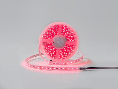 Лента светодиодная DSG560 00-00001489