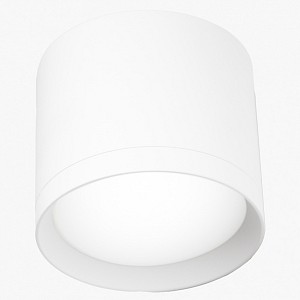 Светильник потолочный LEDS POWER SPOT (Россия)