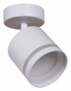 Спот 53001 Reluce Technical (Италия)