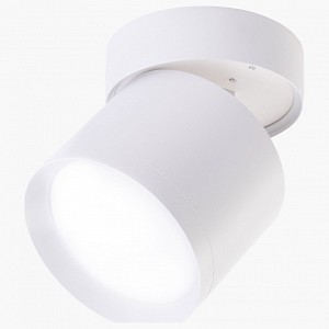 Светильник потолочный LEDS POWER SPOT (Россия)