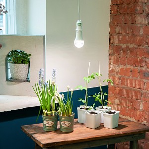 Лампа светодиодная [LED] Uniel E27 15W K