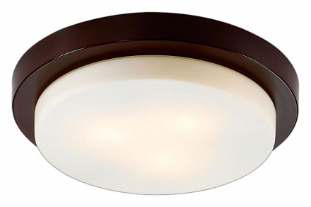 Светильник потолочный Odeon Light Holger (Италия)