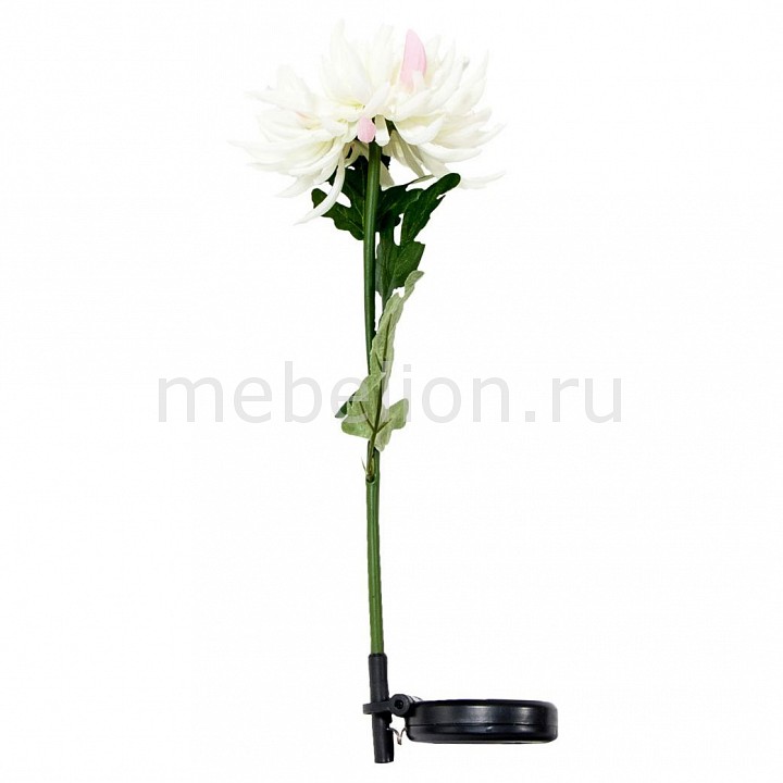 

Цветок Хризантема PL305 06238, Белый;зеленый
