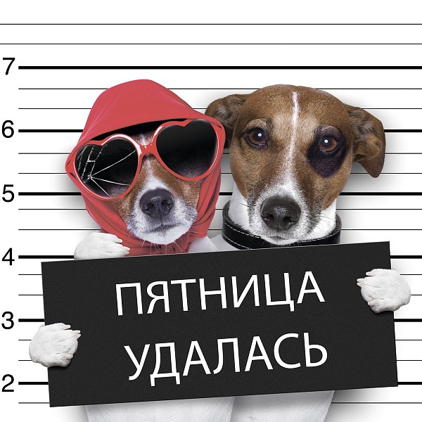 

Картина (30х30 см) Пятница удалась SE-102-281, Белый;коричневый;красный;черный, (30х30 см) Пятница удалась SE-102-281