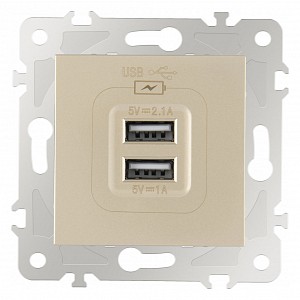 Розетка USB, без рамки 203.46-1.shampan