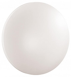 Накладной светильник PALE 3017/CLN