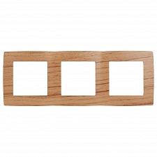 Рамка на 3 поста Эра 12 12-5003-09
