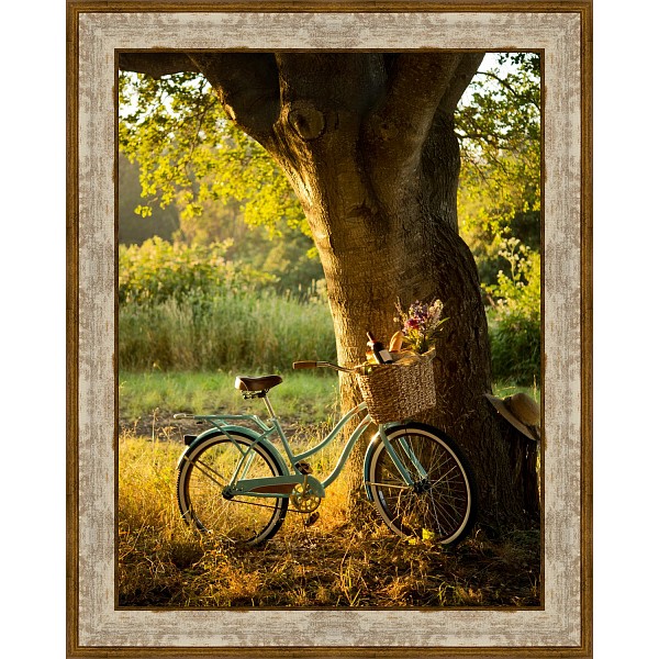 фото Картина (40х50 см) Велосипед около дерева BE-103-403 Ekoramka