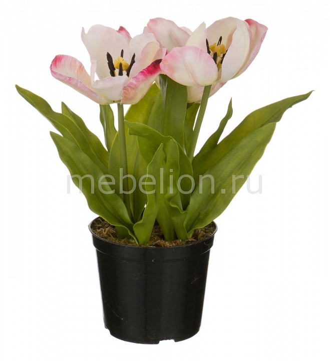 фото Растение в горшке (29 см) Тюльпан 654-197 Арти-м