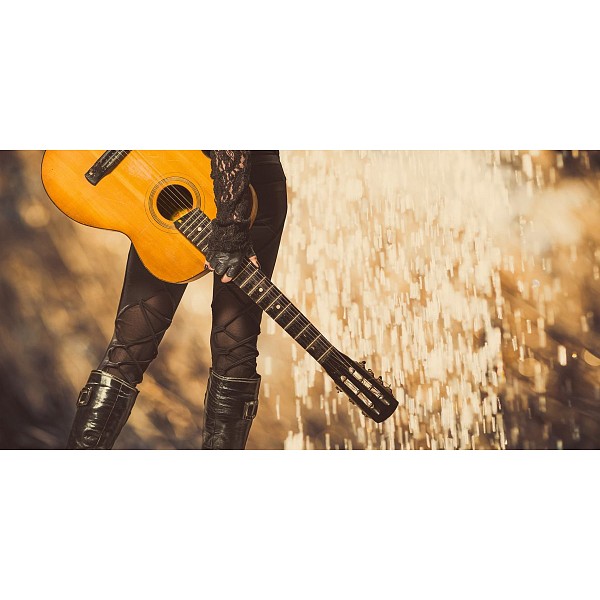 фото Картина (120х60 см) Девушка с гитарой HE-102-149 Ekoramka