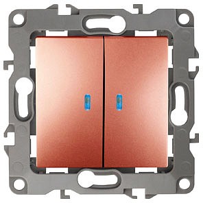 Выключатель двухклавишный с подсветкой без рамки Эра 12 12-1105-14 Выключатель двухклавишный с подсветкой без рамки Эра 12 12-1105-14