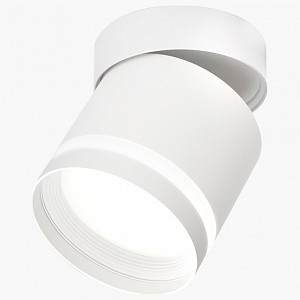 Светильник потолочный LEDS POWER SPOT (Россия)