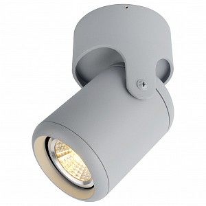 Настенно-потолочный светильник Libra Arte Lamp (Италия)