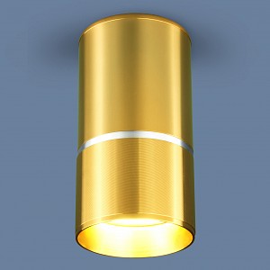 Настенно-потолочный светильник DLN106/DLN107 Elektrostandard (Россия)