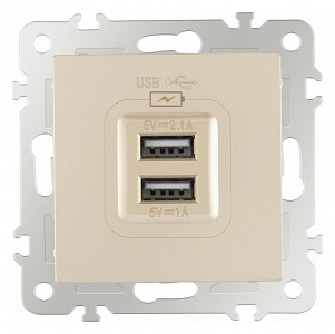 Розетка USB, без рамки 206.46-1.shampan