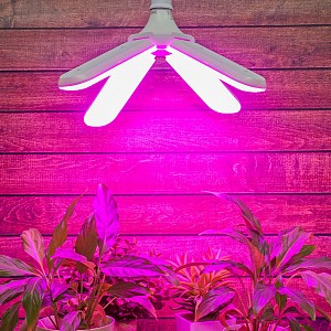 Лампа светодиодная [LED] Uniel E27 32W K