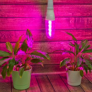 Лампа светодиодная [LED] Uniel E27 12W K