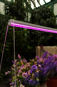 Светильник для растений ULI-P28 UL-00005950