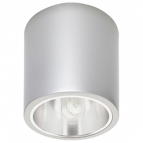 

Потолочный светильник Downlight 4867