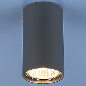 Светильник потолочный Elektrostandard 1081 (Россия)