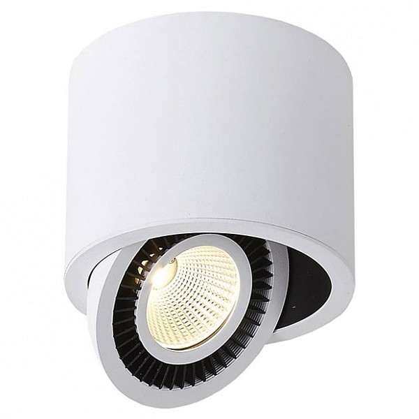 

Накладной светильник DL18700/11WW-White Dim, DL18700/11WW-White Dim
