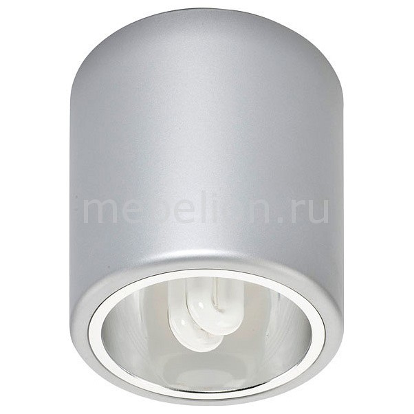 

Потолочный светильник Downlight 4868