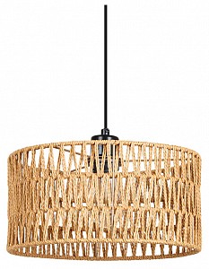 Светильник потолочный Arte Lamp BRUSHWOOD (Италия)