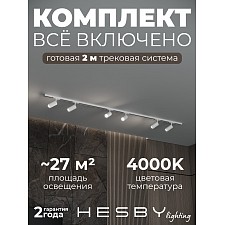 Накладная однофазная трековая система Skylite №3 со светильниками (220В, форма - прямая, 2м, 4000K), белая