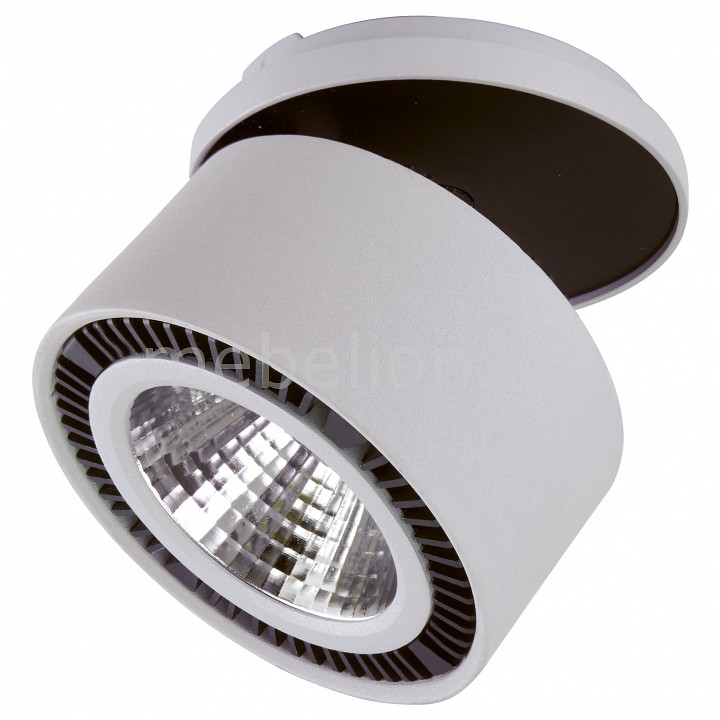 

Спот Forte Inca LED 213820, Forte Inca LED 213820