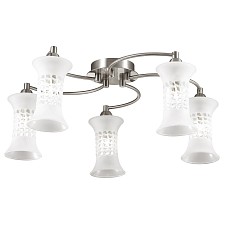 Потолочная люстра Odeon Light 2516/5C Rukba