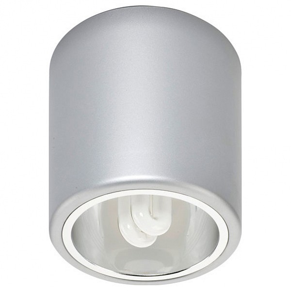 

Потолочный светильник Downlight 4868