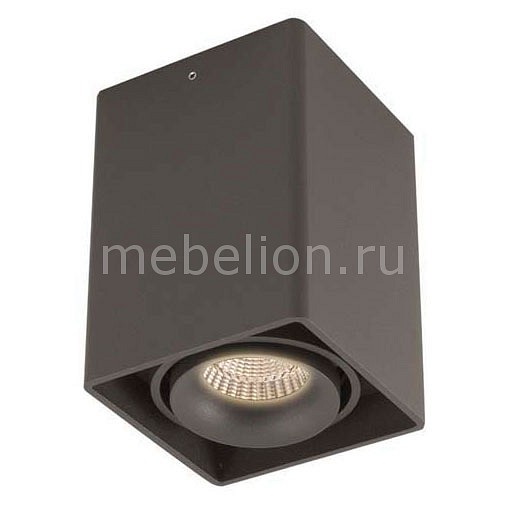 

Накладной светильник DL18611/01WW-SQ Shiny black