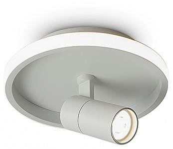 Накладной светильник Neo FR6040CL-L14W