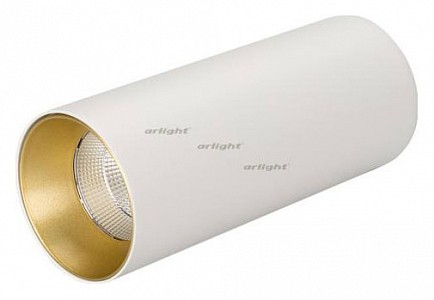 Светильник потолочный Arlight SP-POLO-SURFACE-R65-8W Day4000 (WH-GD, 40 deg) (Россия)