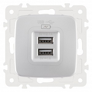 Розетка USB, без рамки 205.46-1.silver