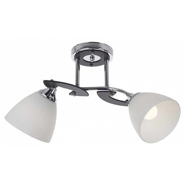 фото Светильник на штанге Falio 279/2PF-Blackchrome Idlamp