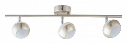 Спот Doreen TopLight (Россия)