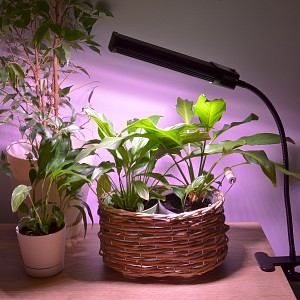 Светильник для растений ULT-P31 UL-00009251