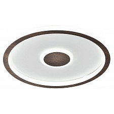 Накладной светильник Orbit FR5421CL-L80BR