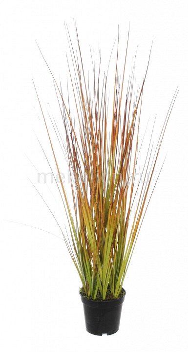 Растение в горшке Home-Religion (50 см) Трава 58005500