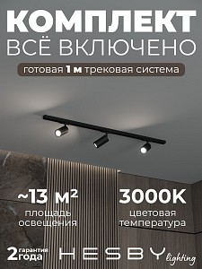 Накладная однофазная трековая система Skylite №3 со светильниками (220В, форма - прямая, 1м, 3000K), черная