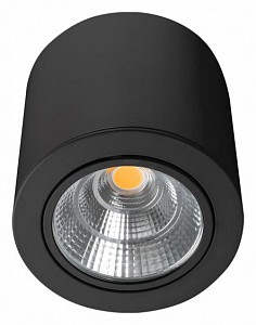 Светильник потолочный Arlight SP-FOCUS-R140-30W Day4000 (BK, 24 deg, 230V) (Россия)