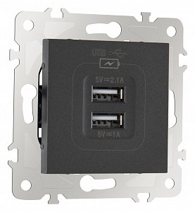 Розетка USB, без рамки 203.46-1.black