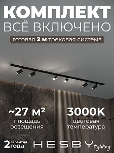 Накладная однофазная трековая система Skylite №3 со светильниками (220В, форма - прямая, 2м, 3000K), черная