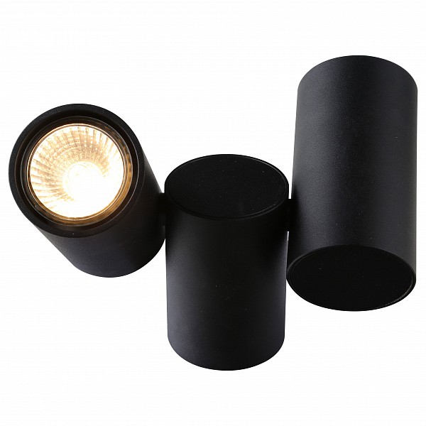 

Накладной светильник Gavroche 1354/04 PL-2, Gavroche 1354/04 PL-2