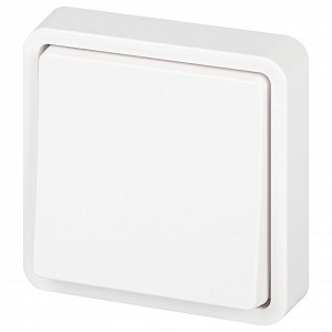 Переключатель одноклавишный Эра Эксперт 11-1523-01