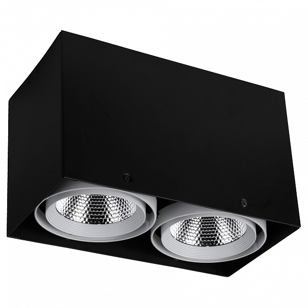 

Накладной светильник Flashled 1987-2U, Flashled 1987-2U