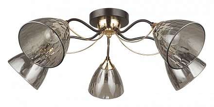 Потолочная люстра Arte Lamp Lily A4366PL-5BK (Италия)